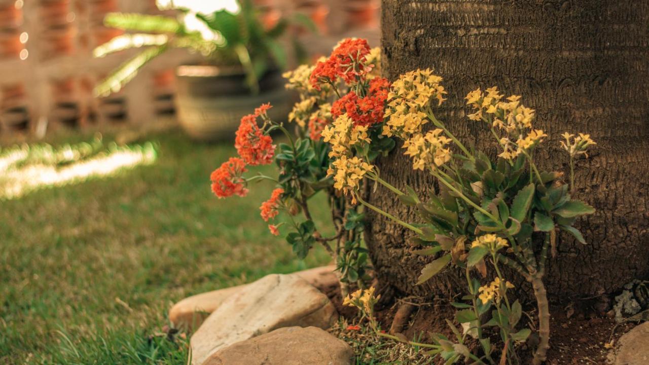 Chales Terraviva Pirenópolis Eksteriør bilde